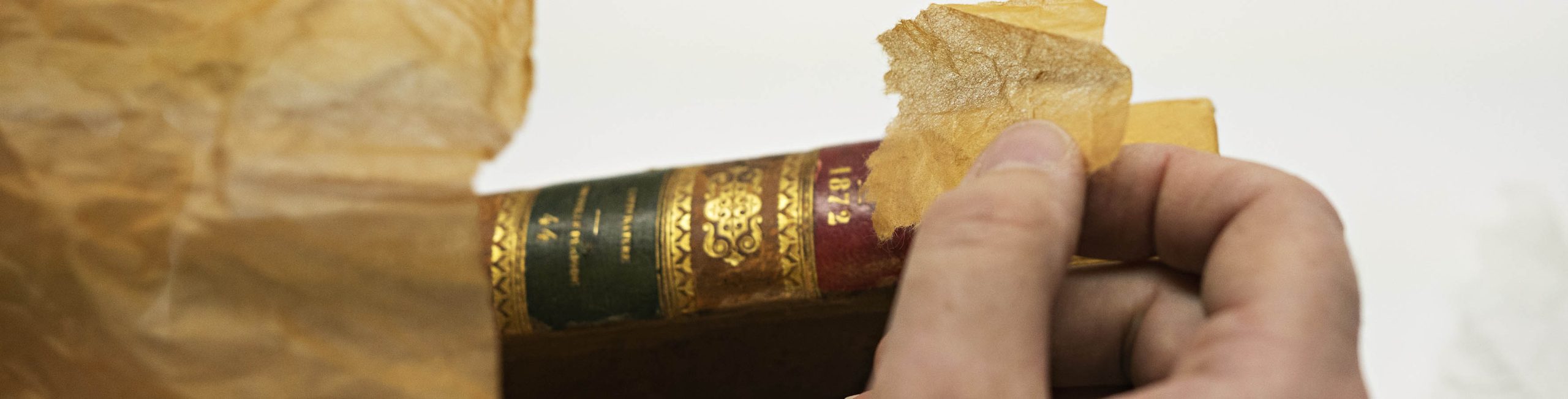 Julie Tyrlik, conservation-restauration à la Bibliothèque du Sénat. Photo Marie-Pierre Dieterle.