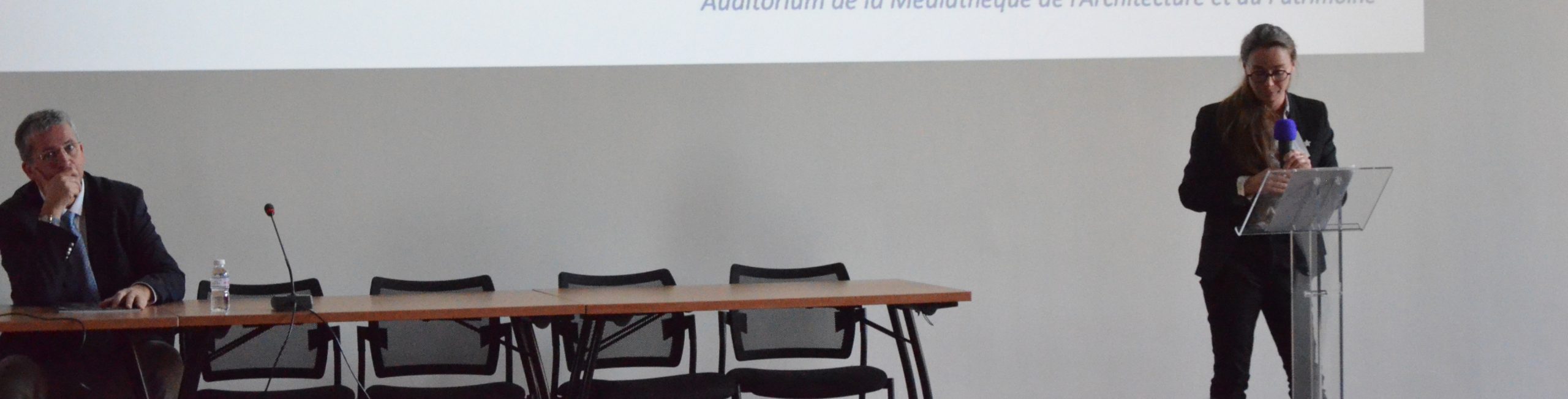 Journée d'étude FFCR/Inp - 14 octobre 2021 - Création d’un titre protégé de conservateur-restaurateur de biens culturels. Réglementer et protéger l’accès et l’exercice de la conservation-restauration ?