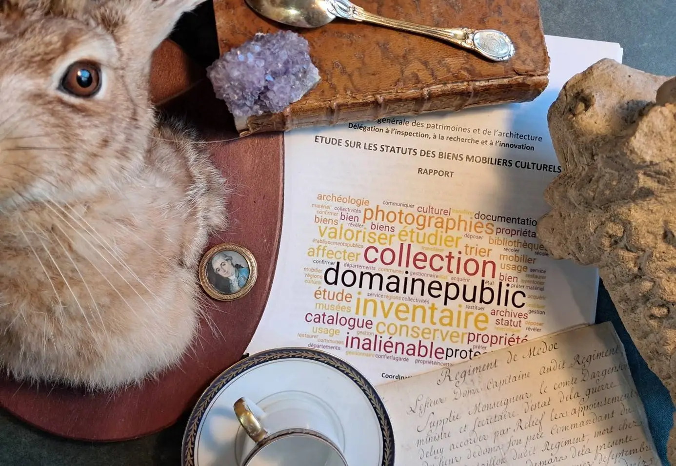 Parution – La gestion du domaine public mobilier – Guide &agrave; l&rsquo;intention des propri&eacute;taires publics et des gestionnaires